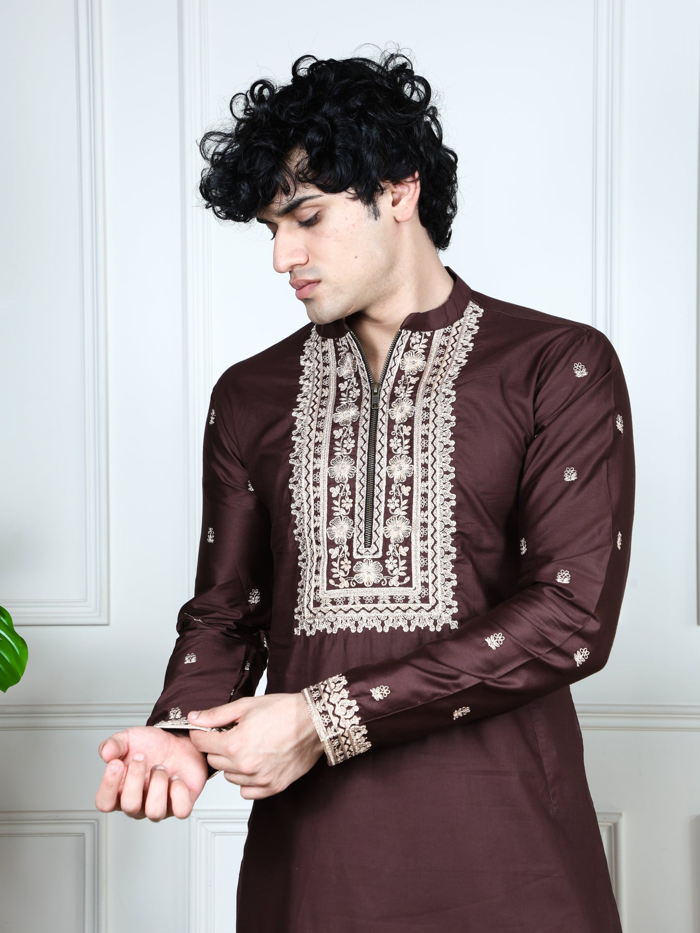 Regal Heritage Embroidered only Kurta-Brown